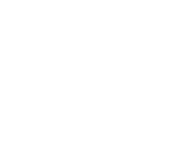 Investro